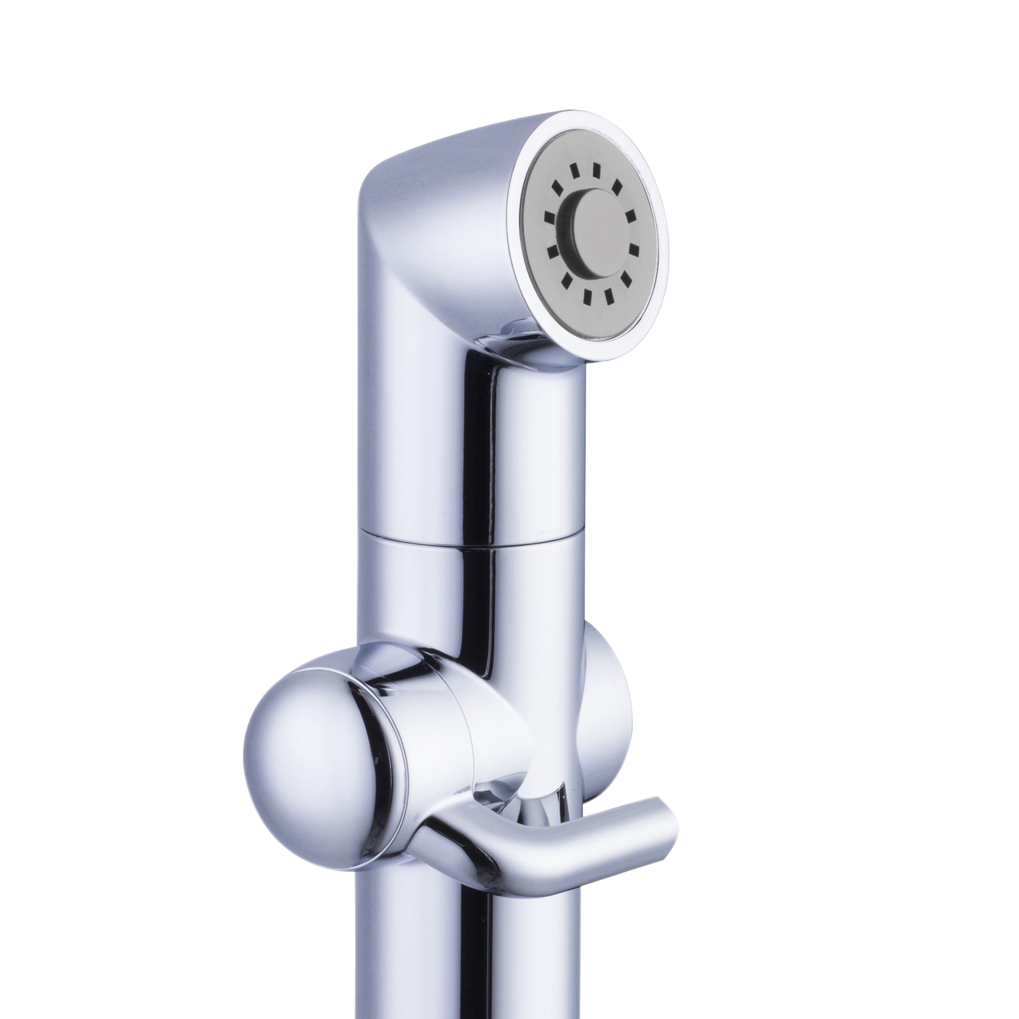 Душевая лейка Lemark LM8075C для биде, хром