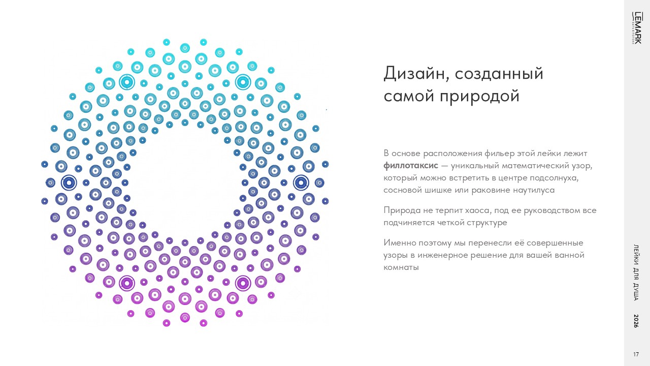 Слайд17.JPG